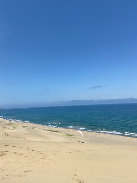 鳥取砂丘から見る日本海