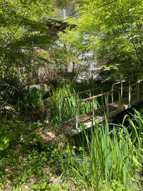 池の上の橋