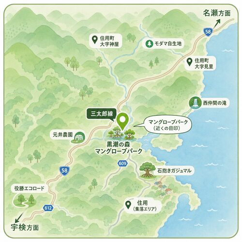 奄美大島の地図