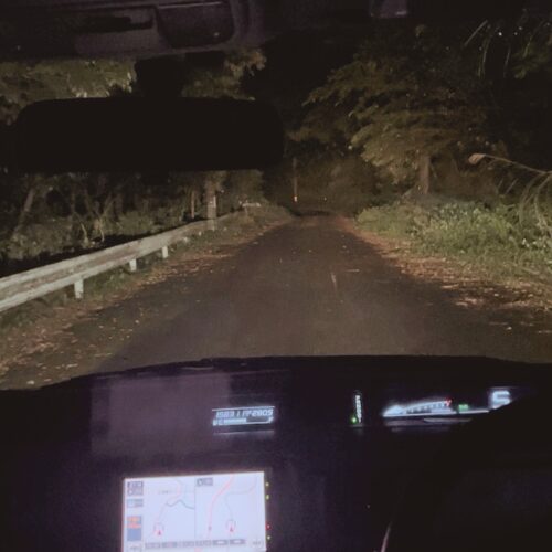 ナイトツアーの様子