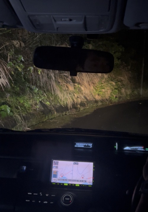 車の中からの景色
