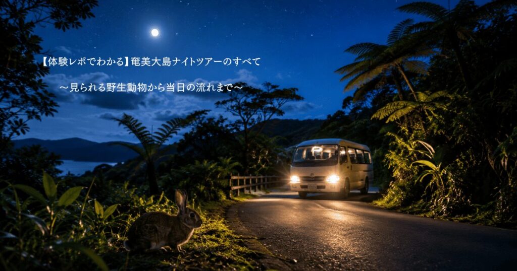 奄美大島ナイトツアーアイキャッチ画像